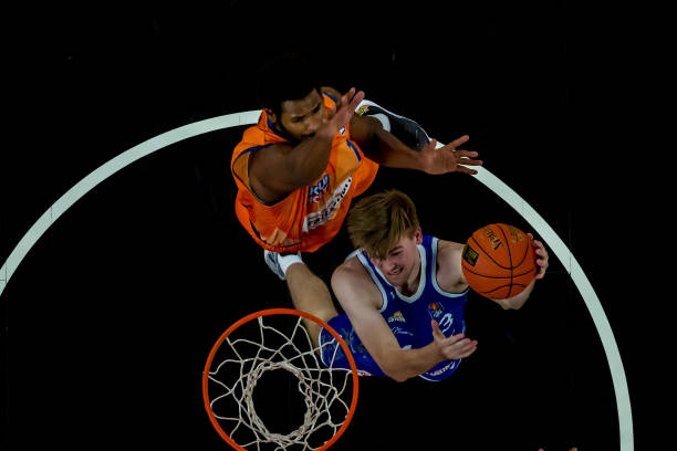 这一动向无 这一动向无