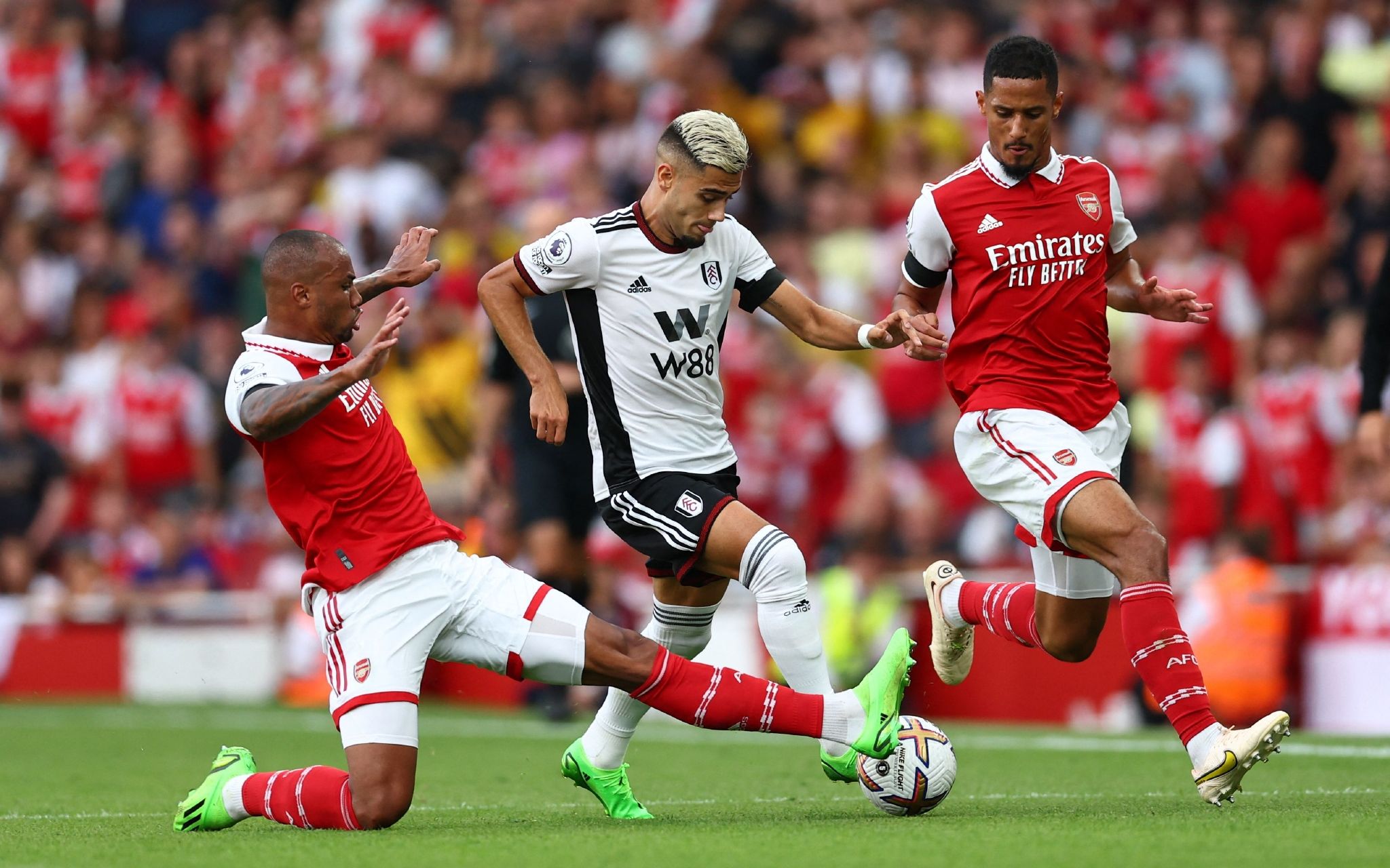 的独特魅力 的独特魅力